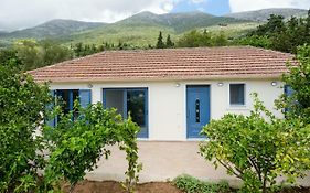 Kokonis House